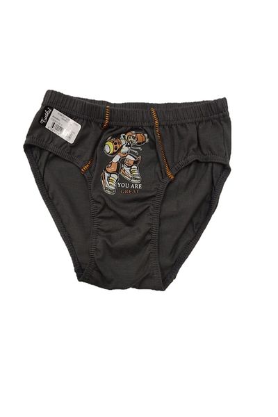 Pardon Boy's Panties/Slips Mixed Color 12 Pieces