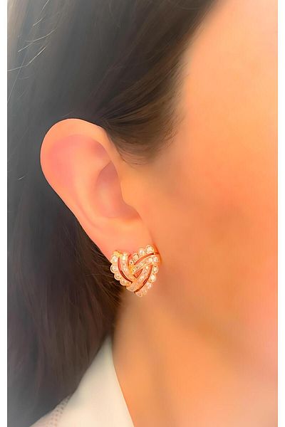 Trinos Steel Earrings Zircon Stone Mesh Heart Earrings