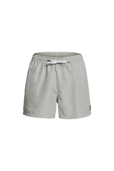 Quiksilver كل يوم 15 Jamv Erkek Deniz Şortu