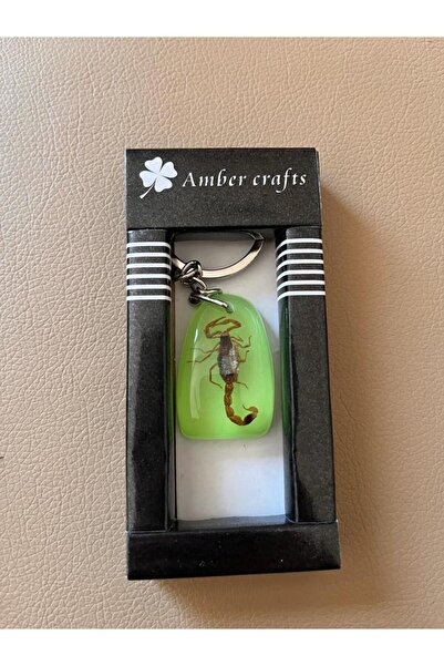 Gold Garden GERÇEK AKREP FOSİLLİ ANAHTARLIK