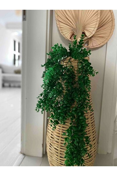 My Family Vazo Pampas Vazosu Çin Vazosu Çiçeklik