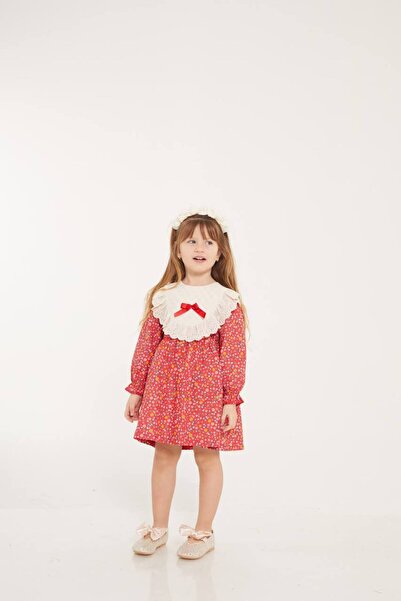 Kırmızı Çiçekli Yaka Detaylı Elbise