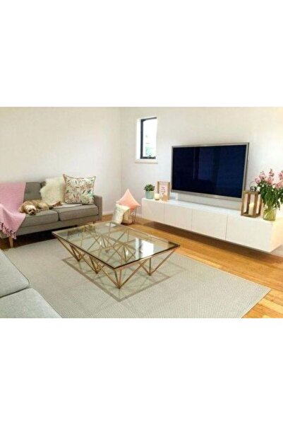 Home Hailey Tv Ünitesi