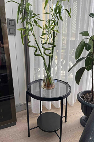 Evnalia Nordic Yan Sehpa Temperli Cam 40 cm Demonte Çizilmez Kırılmaz Metal Ç...