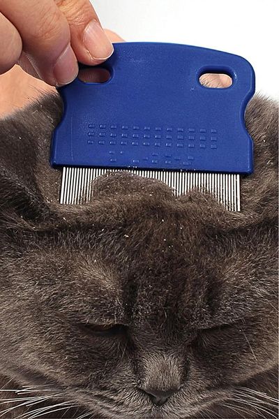 Vi Caro Cat Dog Pet Mini Short Tip Flea Lice Comb