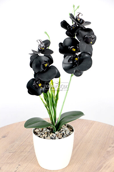 Yapay Çiçek Deposu Dekoratif 2li Mini Yapay Islak Orkide Tanzimi Siyah 40 cm