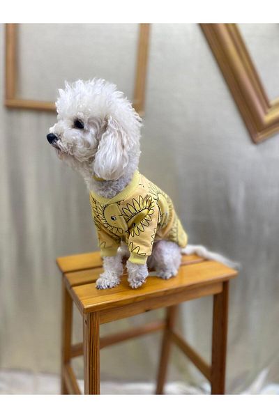 yalıpet 2 Yarn Patterned Cat Dog Apparel