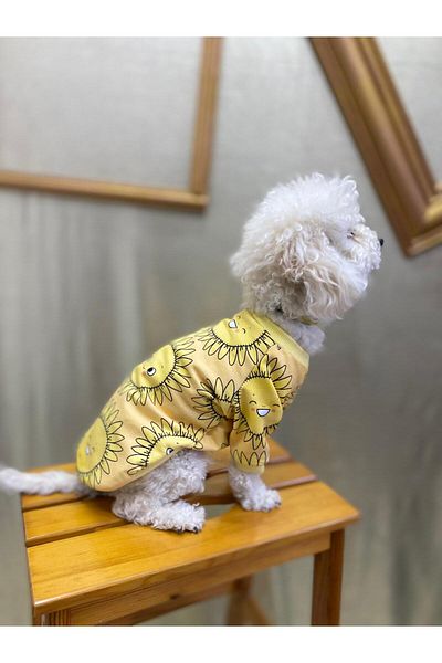 yalıpet 2 Yarn Patterned Cat Dog Apparel