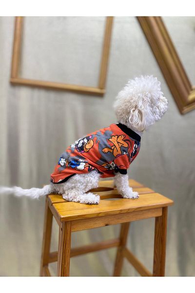 yalıpet 2 Yarn Patterned Cat Dog Apparel