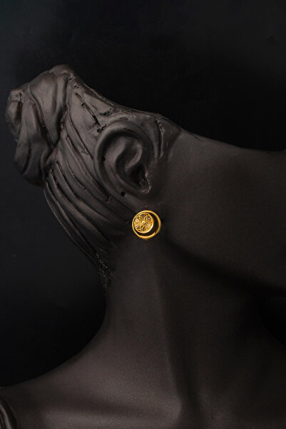 Bilezikci Hilal Model 22 Ayar Altın Kalemli Küpe