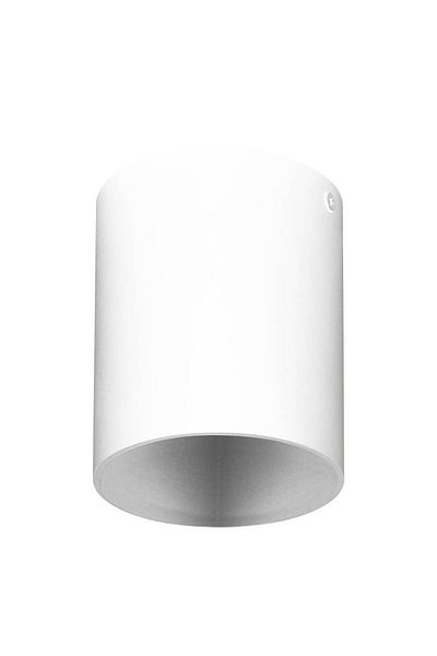Eglo 63187 "Polasso Pro" Ceiling Wall Luminaire