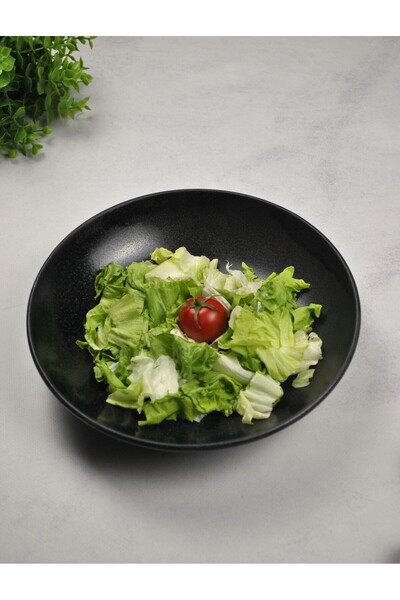 Qualitev 1 Adet Porselen Salata Tabağı 25 Cm Çukur Servis Tabak Sunum Kase- Siyah