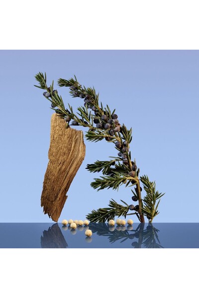 Calvin Klein CK Be For Men - Eau de Toilette200ml