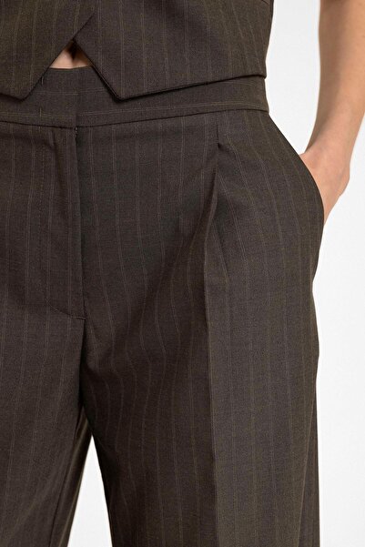 Antioch Brown Women's High Waist Striped Trousers