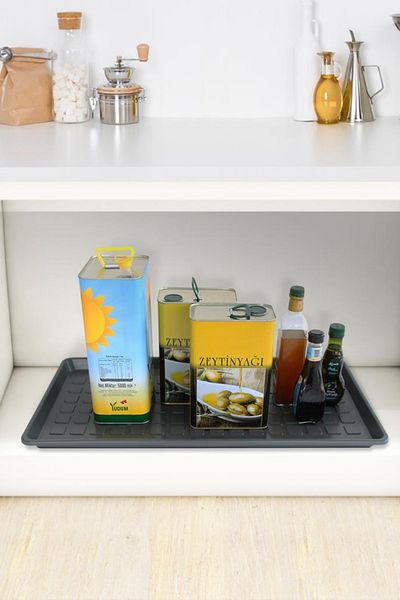 EVLE Multipurpose Shoe Tray, Closet Plastic Coaster, Plastic Organizer