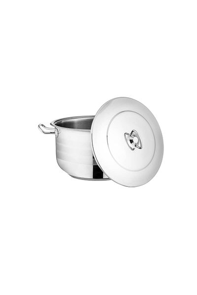 Dania Stainless steel cooking pot 26 cm