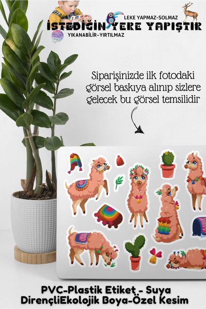 FİKİRCAN Idea Sticker Set 25X25Cm Pvc Sticker -Stick Anywhere for Notebook-Laptop-Tablet-Phone-Cabinet-Glass Etc