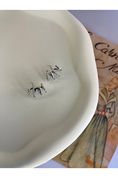 byF Çoklu Görünümlü Taş Detaylı Küpe Gümüş Renk