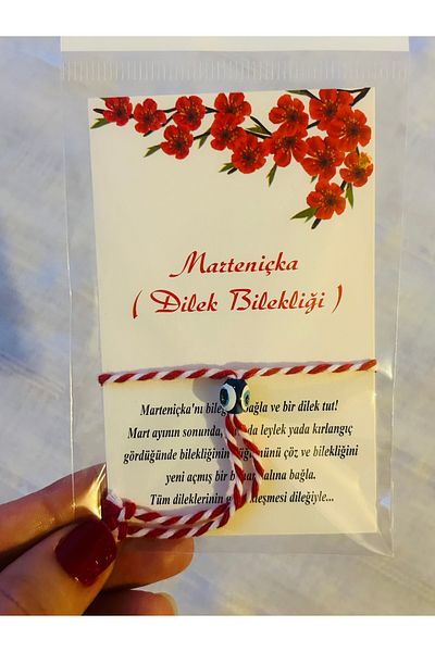 marteniçka 50 Pieces Martenish Set