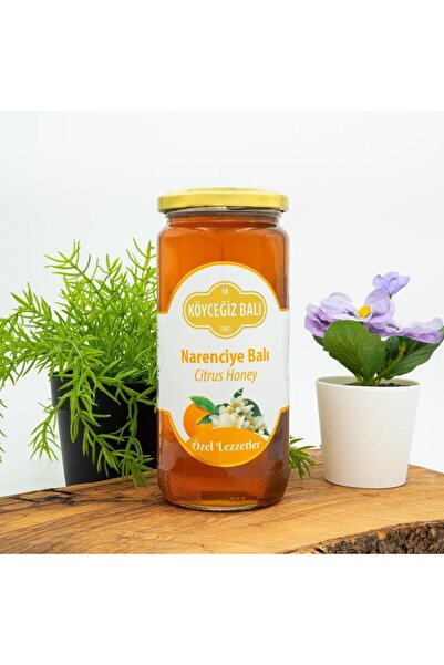 kb köyceğiz balı Narenciye Balı 660 G Cam Kavanoz