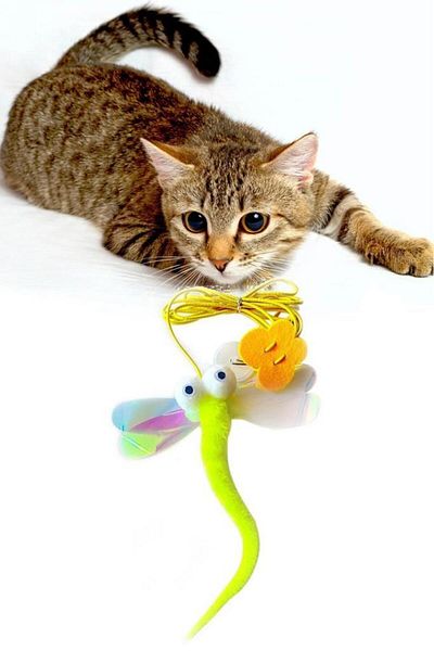 jetfast Butterfly Model Elastic Self-Adhesive Cat Playing Rod