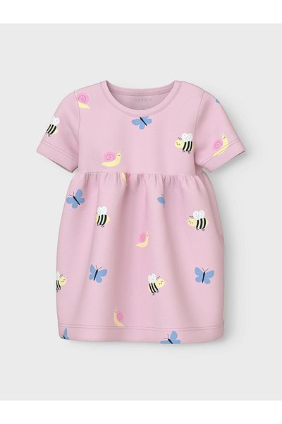 name ıt NBFVANDORA SS DRESS BOX