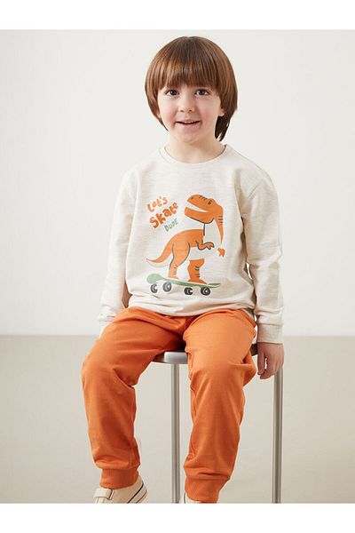 LC Waikiki Crew Neck Printed Boys Sweatshirt and Sweatpants Bottom Set of 2
