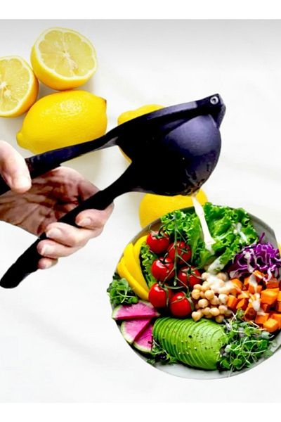 shop Cast Iron Orange Lemon Citrus Juicer