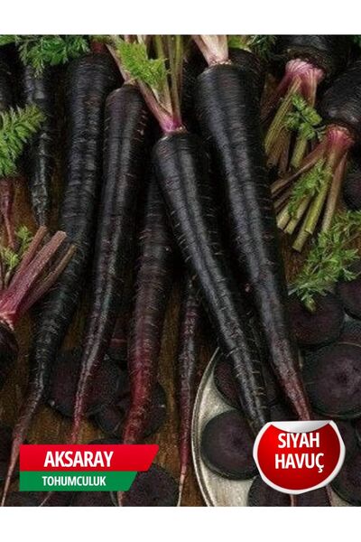 AKSARAY TOHUMCULUK Siyah Havuç Tohumu 150 Adet Tohum Aksaray Tohumculuk