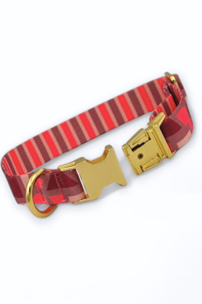 CARAMELOS İsimli Köpek Tasması, Köpek Künyesi, Isimlik, Küçük Irk Ve Orta Irk, Kişiye Özel Metal Kilit, 2 Cm