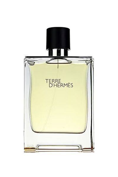 Hermes Terre D'Hermes EDT 100ml
