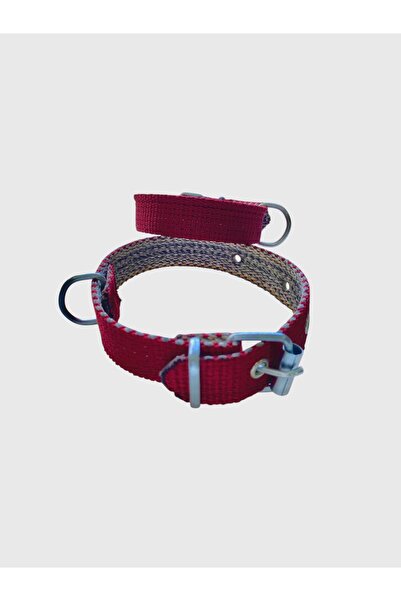 shop Küçük Boy Yavru Köpekler İçin