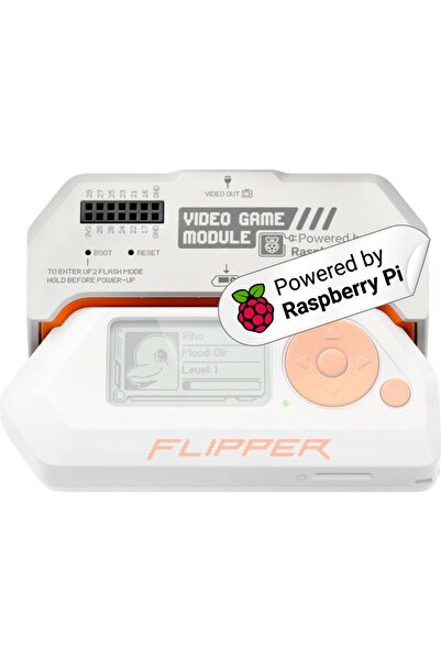 Flipper Zero İçin Video Game Module (Flipper Zero Dahil Değildir)