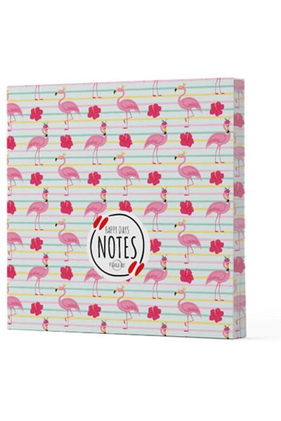 feifei Flamingo 2 - Unlined Side Painting Notebook