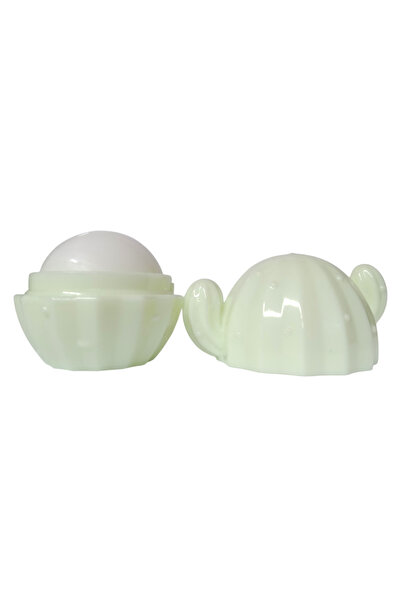 the winner shop KAKTÜS MODELLİ 6 FARKLI  LİP BALIM