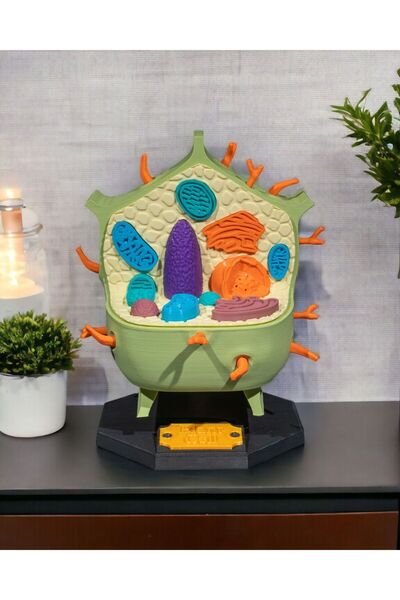 Xeir Decoration Bitki Hücresi Modeli - Modüler Maket