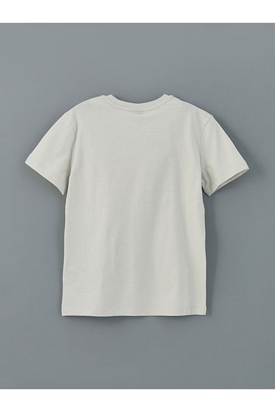 LC Waikiki New Season Crew Neck Boy's T-Shirt - S5Hf22Z4