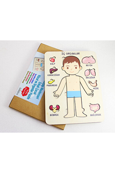 Tasarım Şeker Ahşap Montessori Erkek Çocuk Vücut ve Organlar Puzzle, Ahşap Eğ...