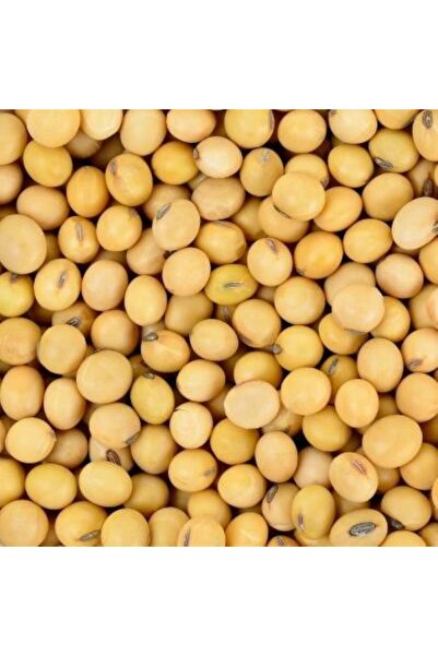 Karahasanoğlu Tarım Yerli Ata Tohumu Soya Fasulyesi 25 Gr