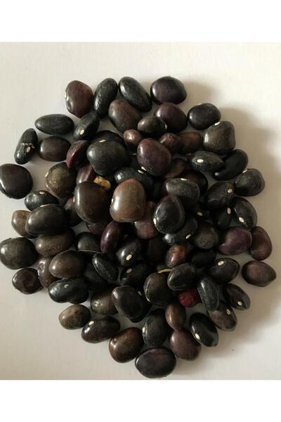 Karahasanoğlu Tarım Yerli Ata Tohumu Sırık Uzun-Enli Turşuluk Fasulye 25 Gr (...