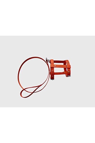 shop طوق صدر قابل للتنقل للكلاب الصغيرة