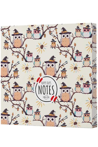 Dokuz Yayınları Vivago Art Owl 7 - Line and Unlined Notebook Set 14X20/15X15 (320 Sheets)