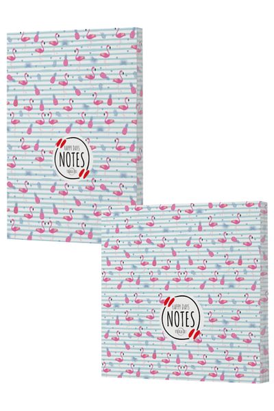 Dokuz Yayınları Vivago Art Flamingo 4 - Line and No Line Notebook Set 14X20/15X15 (320 Sheets)