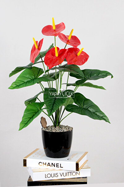 Yapay Çiçek Deposu Siyah Saksıda Kırmızı Antoryum Bitkisi 65 cm