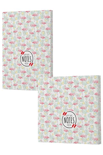 Dokuz Yayınları Vivago Art Flamingo 3, 14X20 Lined Notebook-15X15 Unlined Notebook Set (320 Sheets)