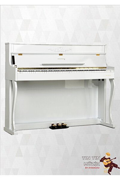 Arsenberg ADP1923 Dijital Piyano