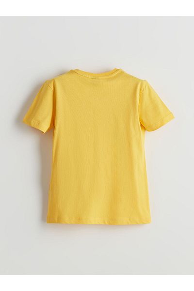 LC Waikiki Crew Neck Boy's T-Shirt