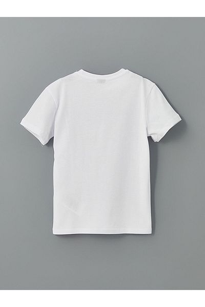 LC Waikiki Crew Neck Boy's T-Shirt