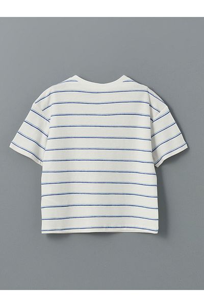 LC Waikiki Crew Neck Striped Boy T-Shirt
