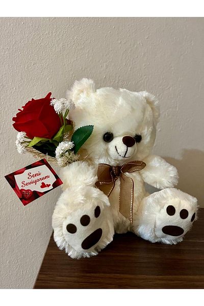 Tiny Desing Accessorıes Cute Teddy Bear with Special Mini Rose Bouquet 🧸